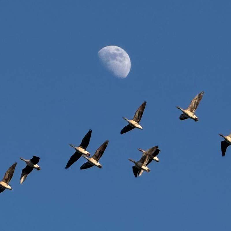 Zdjęcie - Marcin Pogorzelec