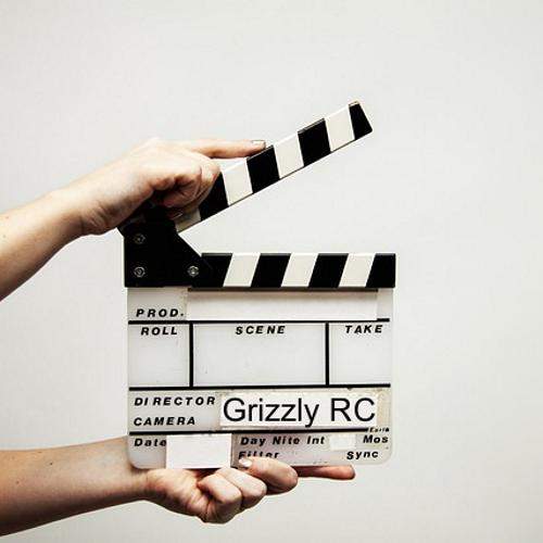 Grizzly na You Tube image by pixabay