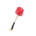 Lollipop 3 RHCP czerwona